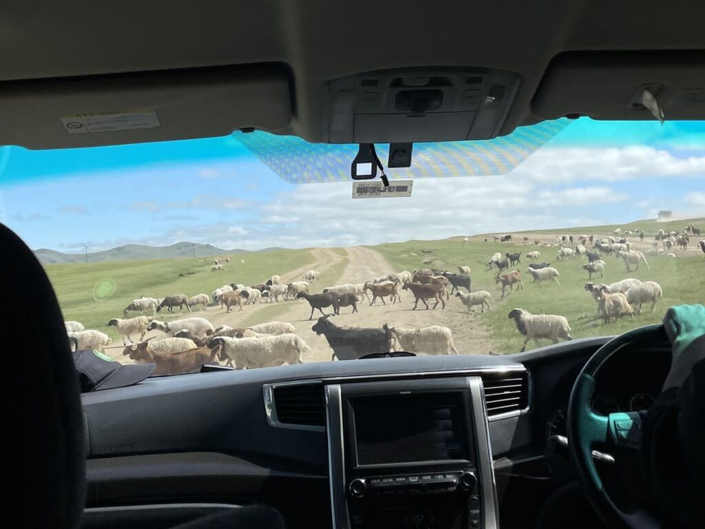 Dirt tracks and goats