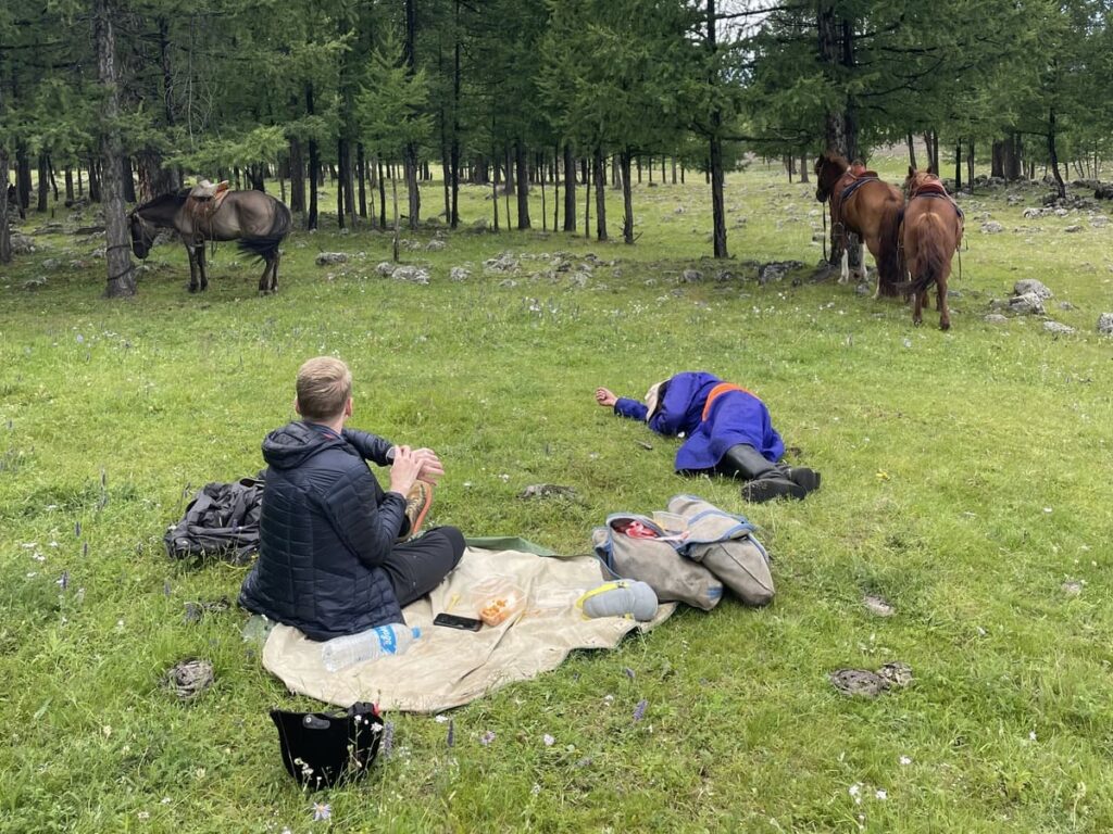 Char fell asleep in the grass after lunch